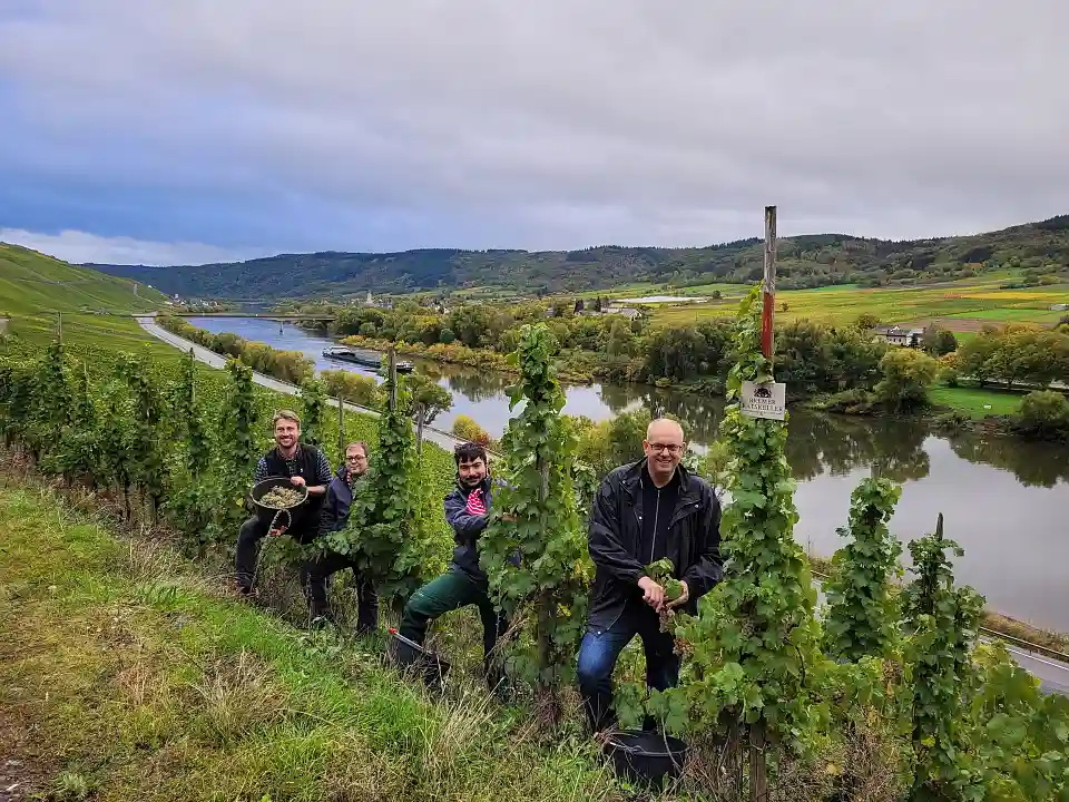 Weinlese 2022 an der Mosel (von links): Der neuer Ratskellermeister Frederik Janus, Beschäftigte des Martinshofes und Bürgermeister Bovenschulte. Foto: Senatspressestelle