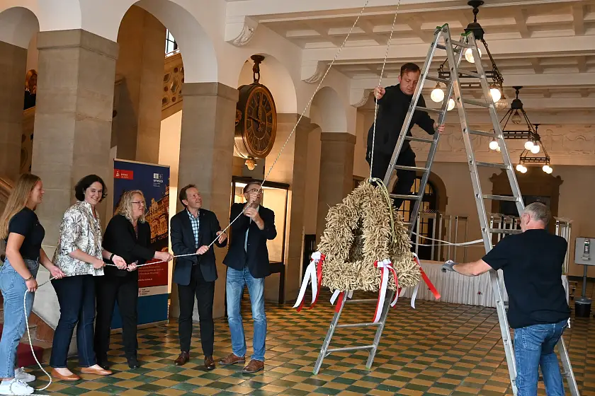  Mit vereinten Kräften wird die Erntekrone der Bremer Landfrauen unter die Decke der Eingangshalle des Rathauses gezogen (von links): Lena Hauschildt von der Landjugend Bremen-Blockland, Senatorin Kathrin Moosdorf, Andrea Geerken (1. Vorsitzende der Bremer Landfrauen), Hilmer Garbade (Präsident des Bremer Landwirtschaftsverbandes) und Eckhart Hoehne (1. Vizepräsident Bremer Landwirtschaftsverband). Foto: Umweltressort