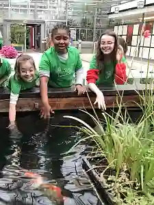 Bei den Lernferien entdecken Kinder nicht nur den Spaß am Lernen, sondern auch ihre Stadt. Etwa mit einem Ausflug zur Botanika. Foto: CLIMB gGmbH