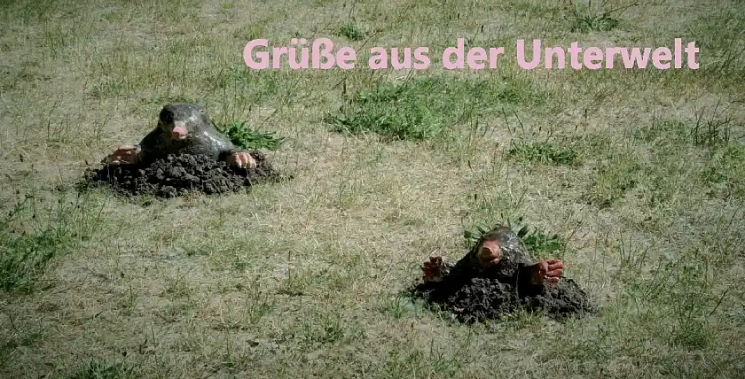 Grüße aus der Unterwelt senden die Bildhauerwerkstätten der JVA Bremen. Foto: Justizressort