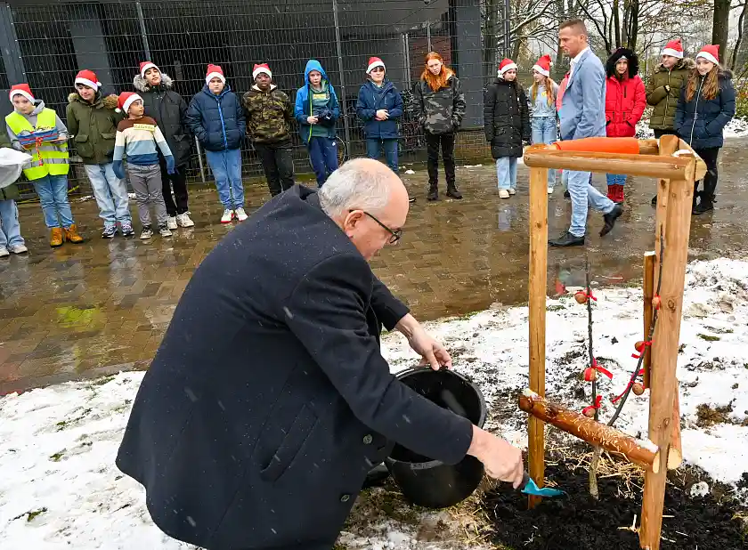 Gerne übernimmt Bürgermeister Bovenschulte eine Baumpatenschaft für einen Walnussbaum auf dem Schulgelände. Foto Senatspressestelle