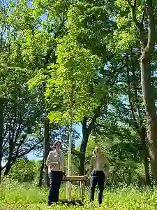 Davon wird es in Bremen bald schon mehr geben: Neu gepflanzte Bäume. Umweltsenatorin Kathrin Moosdorf (links) und die Geschäftsführerin des Umweltbetrieb Bremen, Viola Hellwag, in der Franz-Schütte-Allee. Foto: Umweltressort