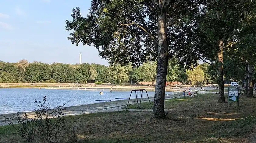 Die Belastung des Stadtwaldsees durch Blaualgen soll durch mehrere Maßnahmen gemindert werden. Foto: Haneg