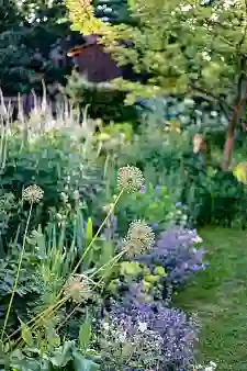 Ein blühender Garten. Foto: Umweltressort