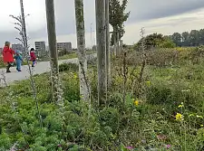 Am Mäuseturm in der Bremer Überseestadt blüht es noch im Oktober bunt. Foto: Umweltressort