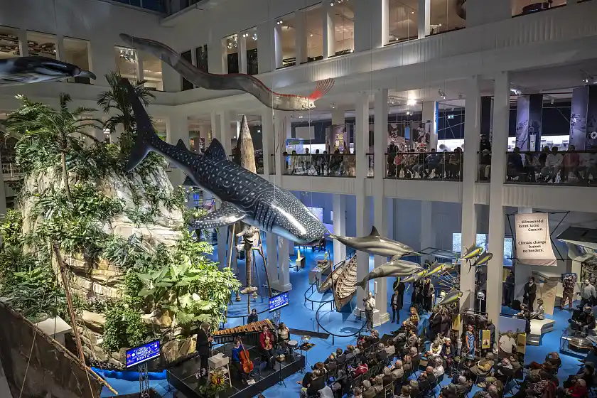 Ein zentrales Highlight der Ausstellung ist eine knapp zehn Meter hohe Insel mit üppiger Bepflanzung und einem digitalen Wasserfall. 