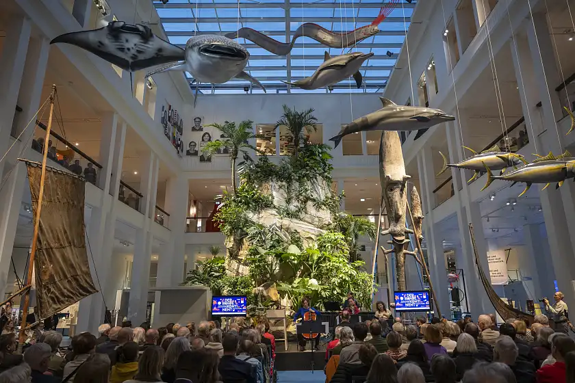 Die Ausstellung wurde von der renommierten Londoner Designagentur Casson Mann gestaltet. 