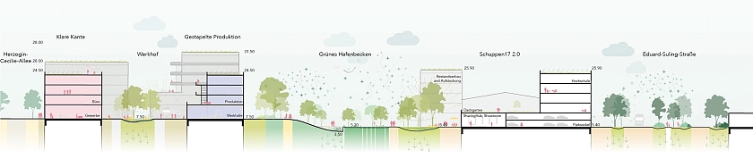 Das Grüne Hafenbecken funktioniert als Quartiersmitte und ökologische Infrastruktur. 