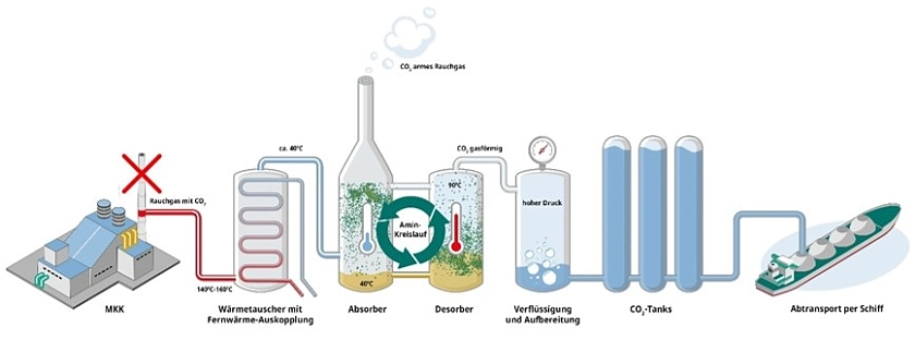 Schematische Darstellung des Abscheidungsprozesses. 