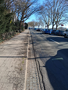 Diesen Schäden werden im Zuge der Sanierung des Osterdeichs behoben.